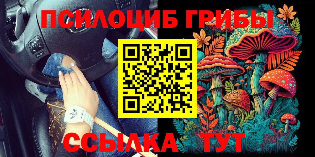 Псилоцибиновые грибы Cubensis Саранск