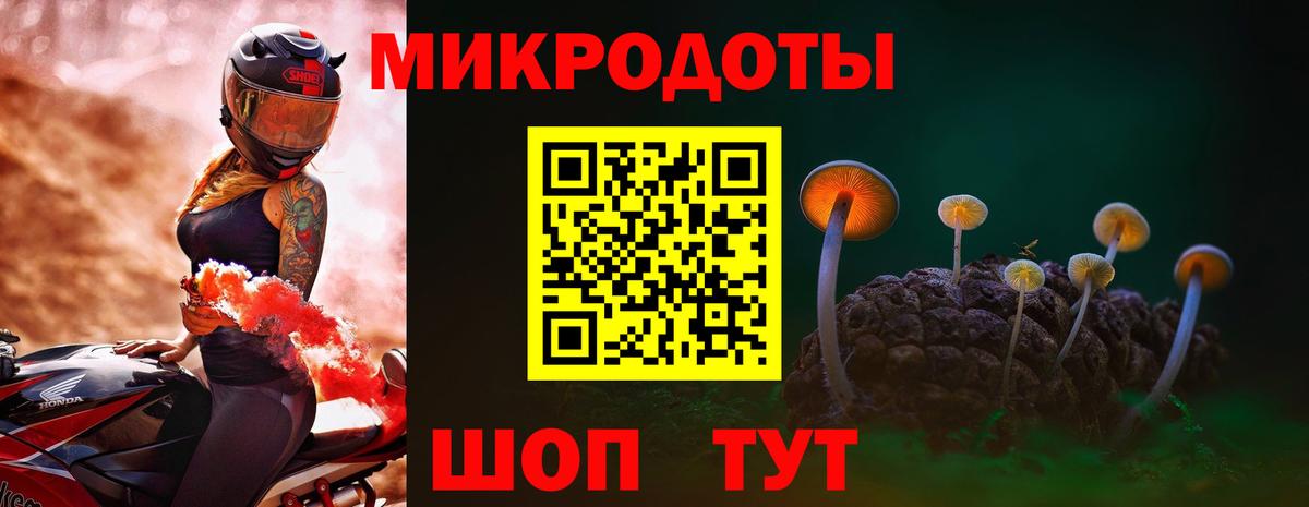 Саранск  Псилоцибиновые грибы ЛСД  купить   Псилоцибиновые грибы Psilocybe  Вход с VPN 